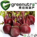 Beet Root Extract Powder